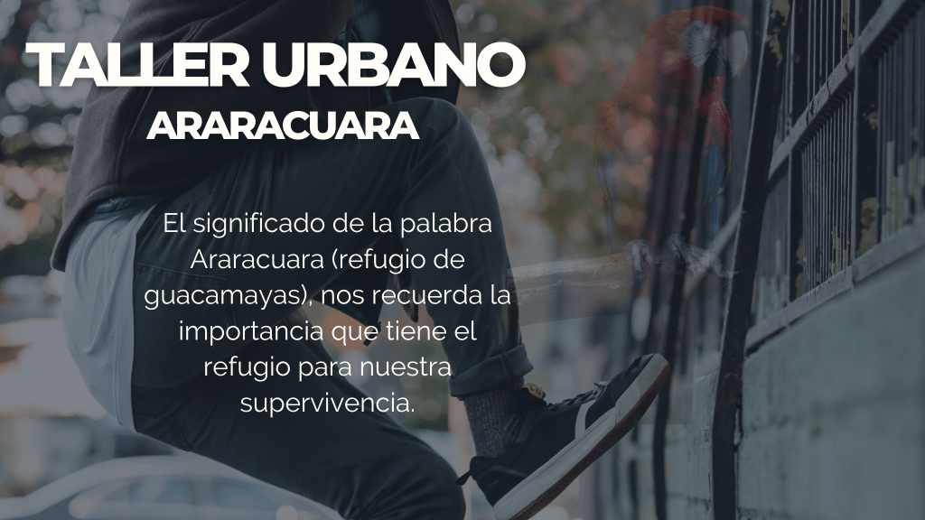 TALLER ARARACUARA (DESASTRES Y PREPARACIONISMO)