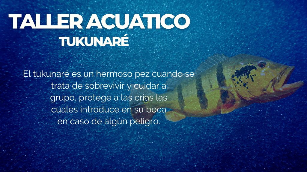 TALLER TUKUNARÉ (MEDIO&nbsp;ACUÁTICO)